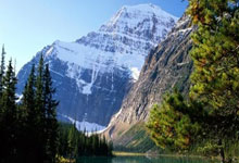 如何快速获取NBA即时比分？不同平台的实时数据有什么特点？